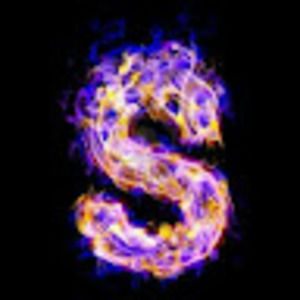 Meet your Posher, Sajid